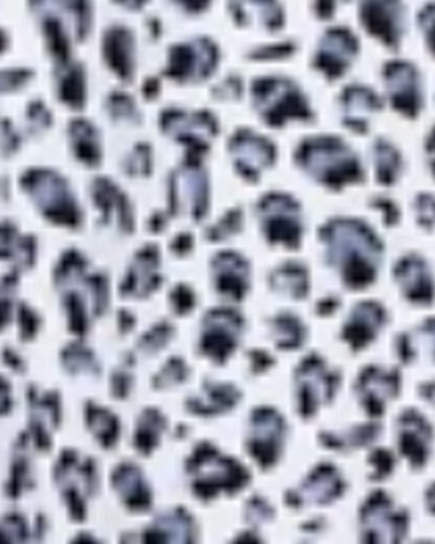 ابر و بادی پلنگی